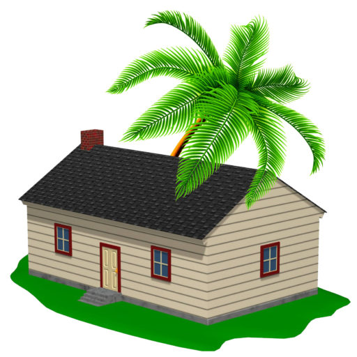 Property Tonga Licensed real estate agent in the Kingdom of Tonga