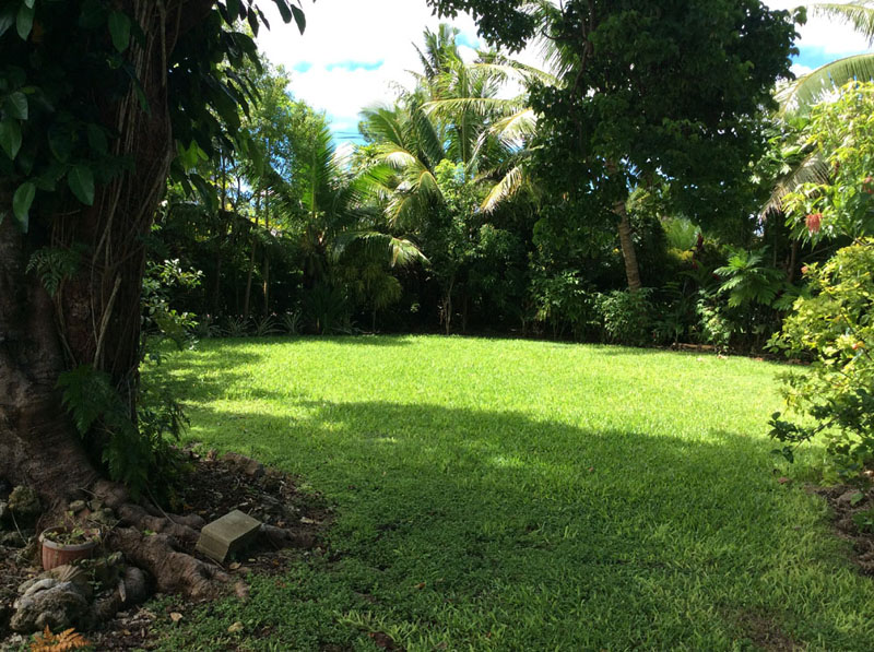 House Rentals Property Tonga